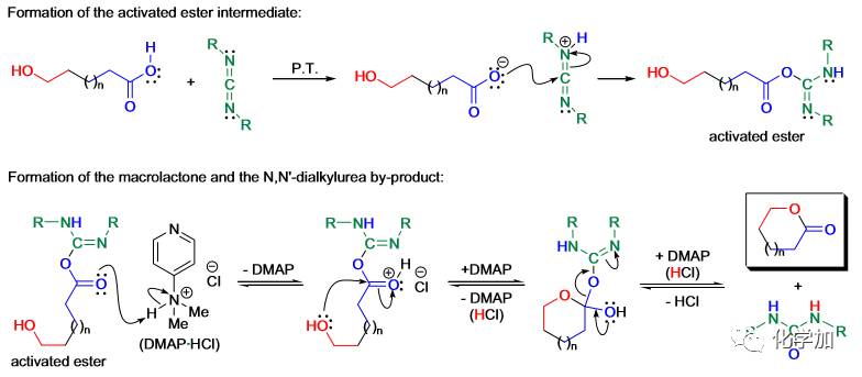 经典化学反应大环内酯化反应