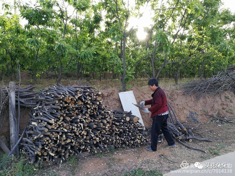 遵化多少人口_遵化到广西多少公里(2)