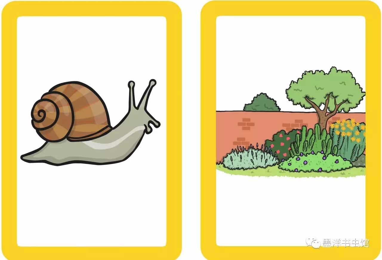 snail 蜗牛
