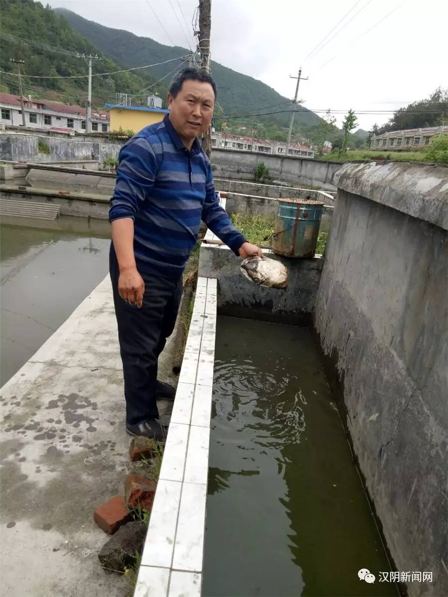 为了解决甲鱼,大鲵塘库水质营养过剩,水葫芦等水生植物极易繁殖,容易