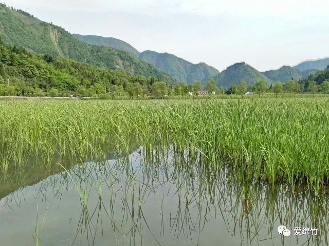 【围观】这个地方私藏了绵竹最原始的美景!你一定要知道