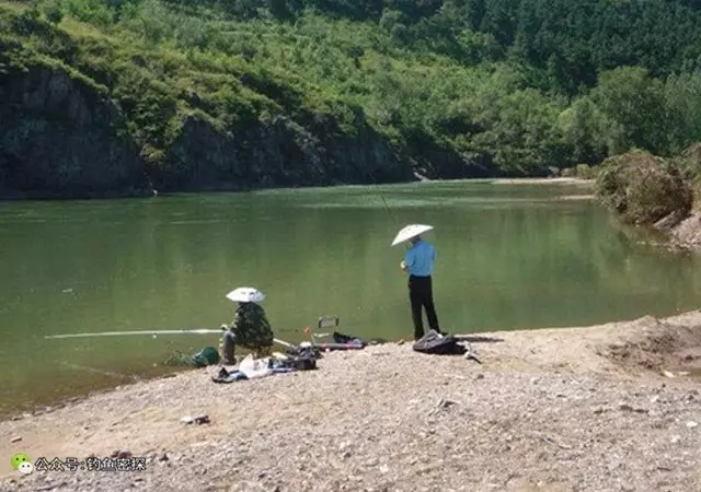 实用的小溪流水野钓技巧招式灵活多变鱼获多