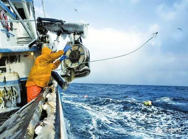 2017年度海洋渔业捕捞许可证年审开始啦!