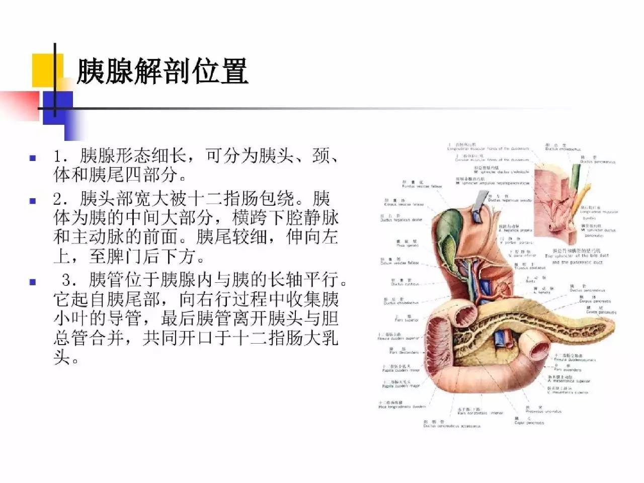 胰十二指肠切除手术护理查房