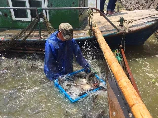 定塘镇大塘有多少人口