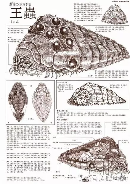 网友买竹笋神似风之谷王虫惹动漫迷前来吐槽