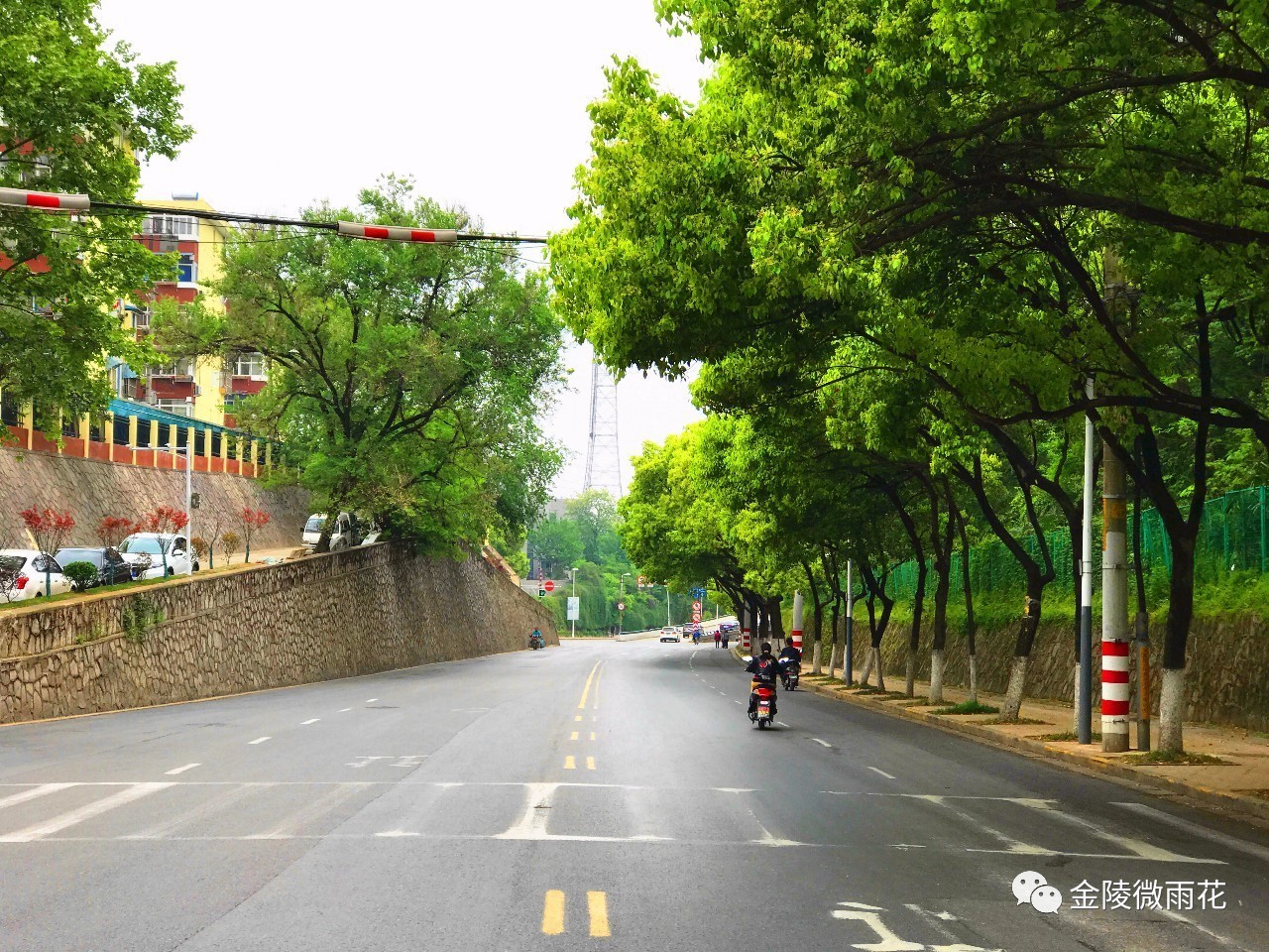 初夏和我在雨花的街头走一走,即使炙热的阳光也不担忧!