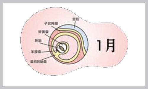 在怀孕第7周时即可进行测量.