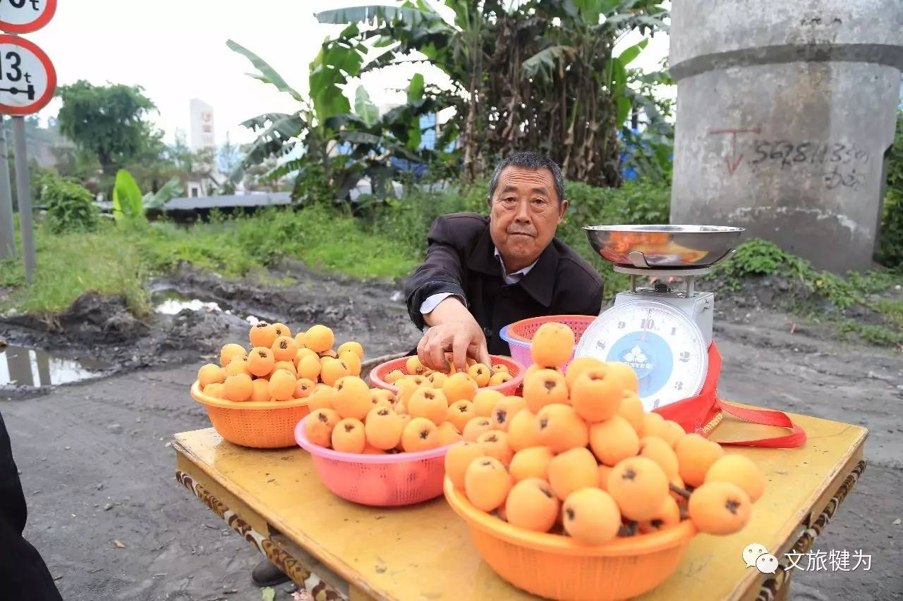 壹 岷东乡大湾村枇杷 岷东乡的枇杷算是犍为最出名的了,其肉质细嫩,果