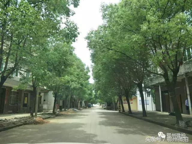 顺丰机场篇⑤都市航空未来之城燕矶镇震撼组图