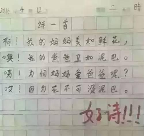 没有最强只有更强的逆天小学生作文，我的小学白念