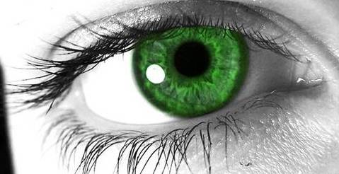 12.这世界上只有2%的人有绿色眼睛.