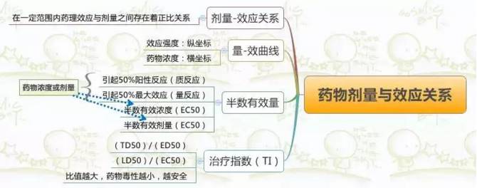 思维导图丨药物剂量与效应关系