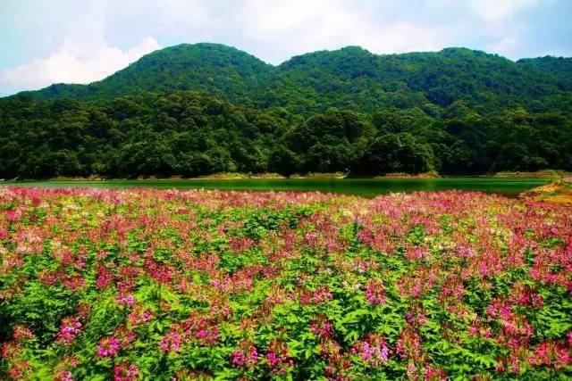 从化石门国家森林公园