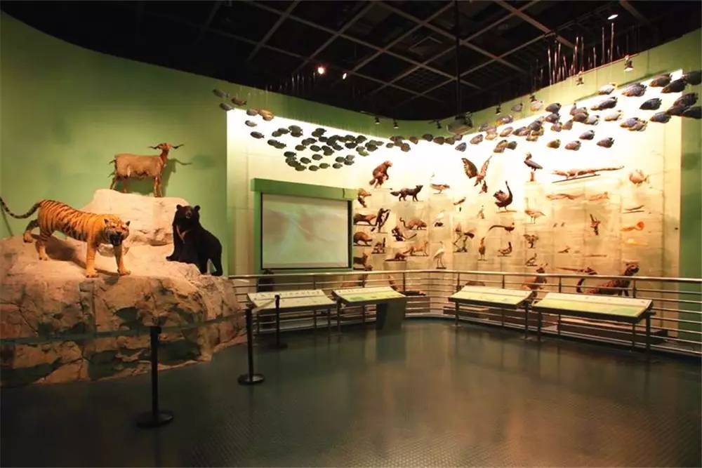 文化 正文  1 常州博物馆创建于1958年10月,是一所集历史,艺术,自然为