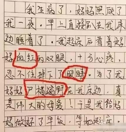 没有最强只有更强的逆天小学生作文，我的小学白念