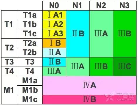 肺癌tnm 分期记忆法,从此牢记忘不掉!