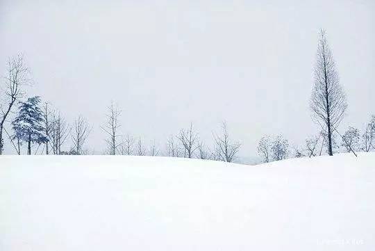 艾青:雪落在中国的土地上