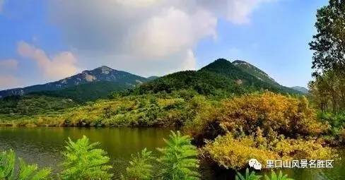 里口山景区发现珍稀鸟种黑苇鳽