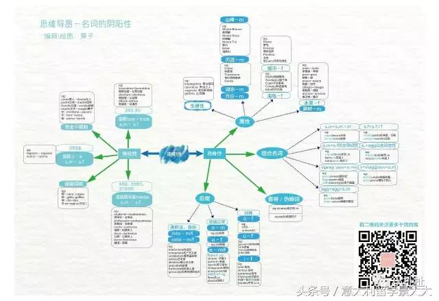 mamamia头条:扯意语名词阴阳性