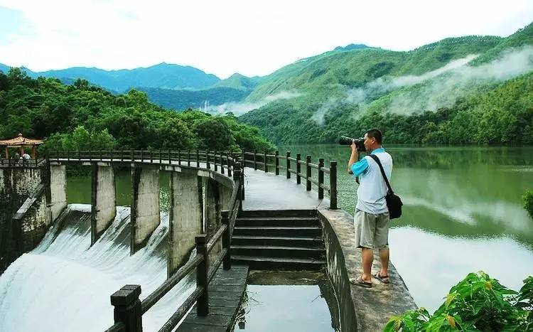 海南这些热门旅游景点免费开放!踩准时间就