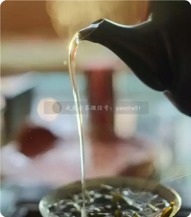 泡茶方式可根据个人口感_美女泡茶图片(3)