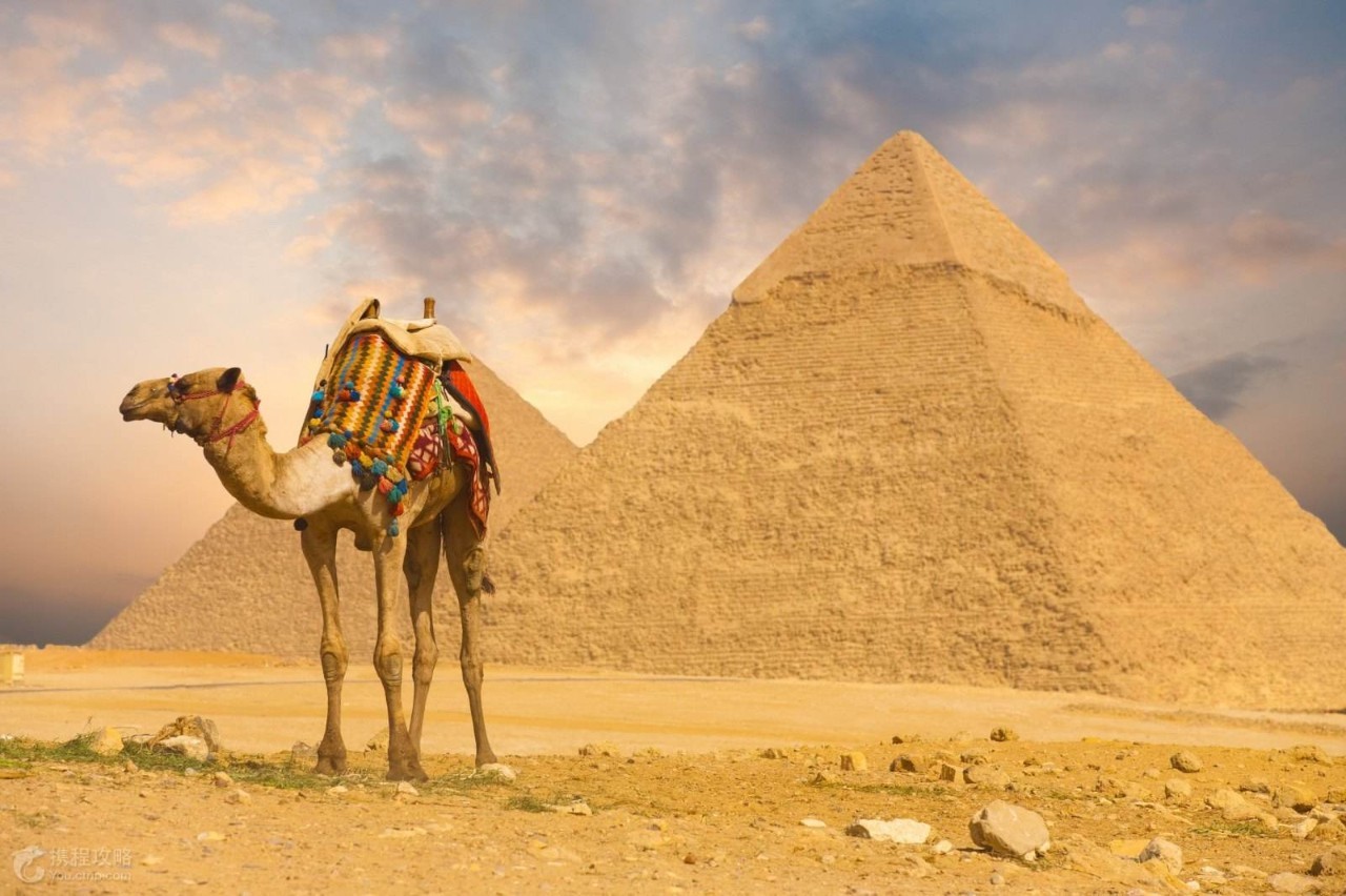 埃及旅游最佳季节图片