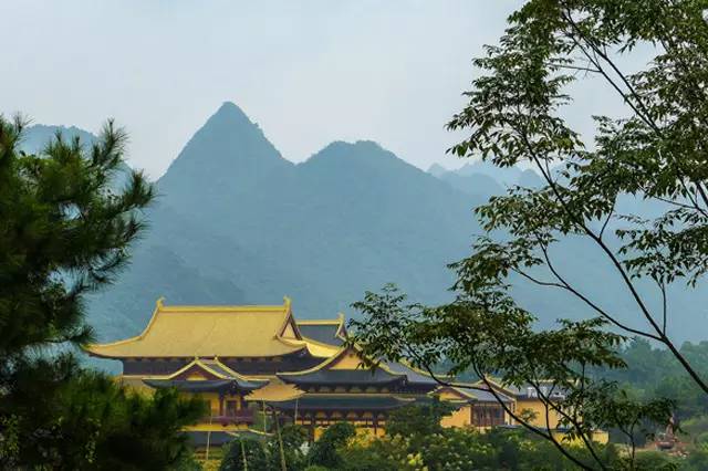 仅此一期,高逼格的上林首届国际美食节,游金莲湖旁的莲音寺,美食美景