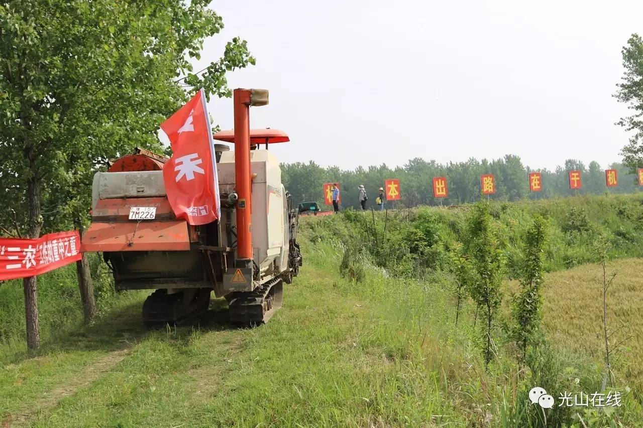 光山人口碑怎么样_光山火车站图片(2)