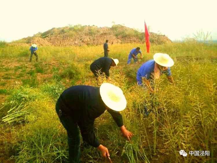 四罗沟:下势帮扶是怎样的场景?