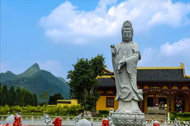 仅此一期,高逼格的上林首届国际美食节,游金莲湖旁的莲音寺,美食美景