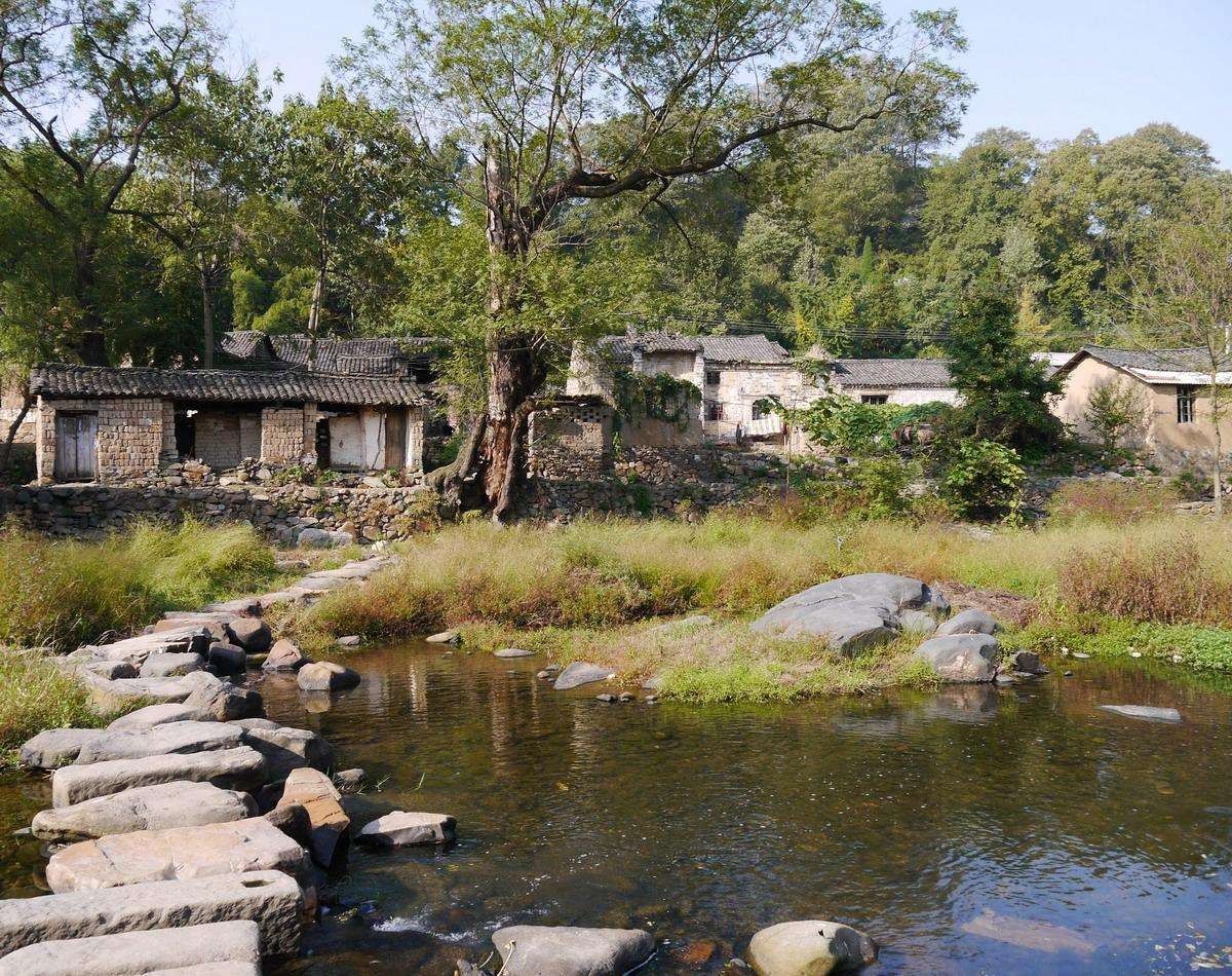 村子坐北朝南,背靠狮子山,面朝西河水,村头有几百年古树临水垂影,村内