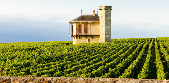 霞多丽的家乡在法国著名葡萄酒产区勃艮第(burgundy,感谢于这里漂亮