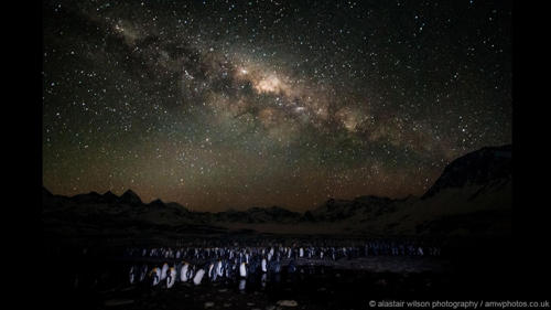 alastair wilson在南乔治亚的鸟岛研究站拍摄了这些南极星空图.