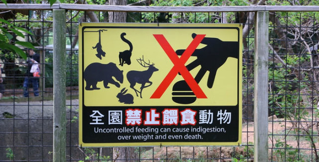 游客喂棕熊手指被咬动物园表示很无辜