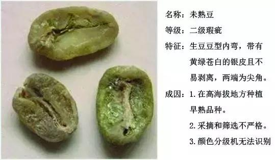 咖啡瑕疵豆定义图文参考鹿石咖啡