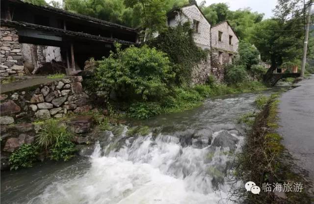 临海市白水洋镇岭村总人口_临海市尤溪镇梨树坑村