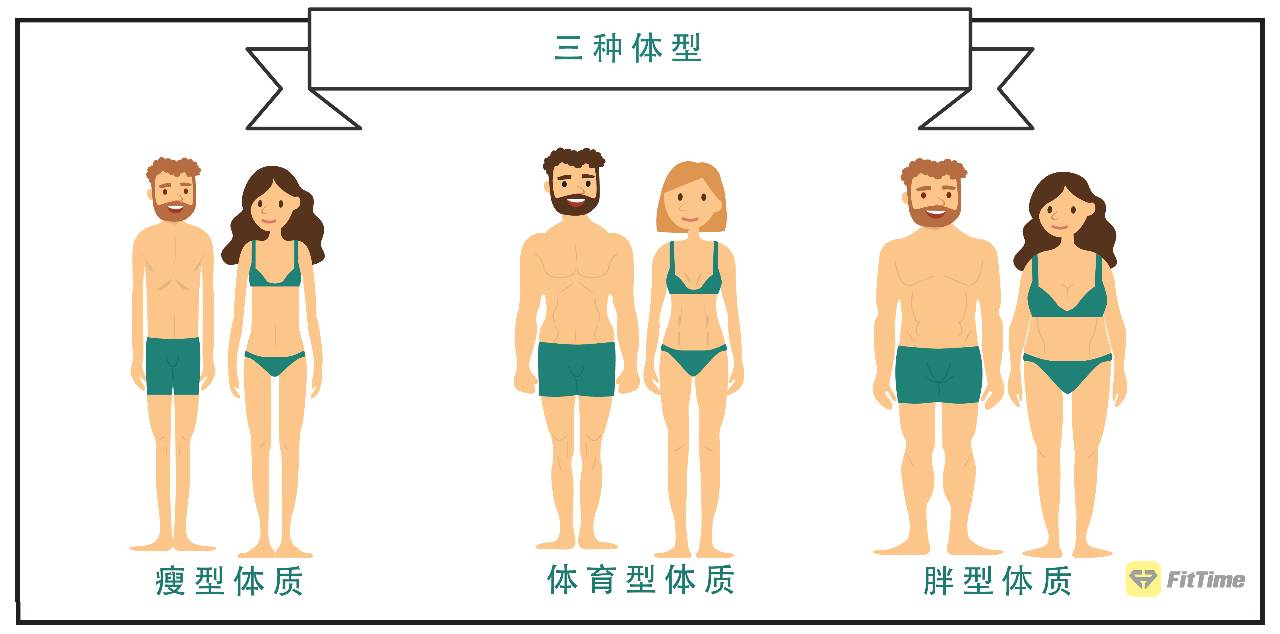 建议比例: 30%蛋白质,40%碳水化合物,30%脂肪 3 天生胖,骨架大,很