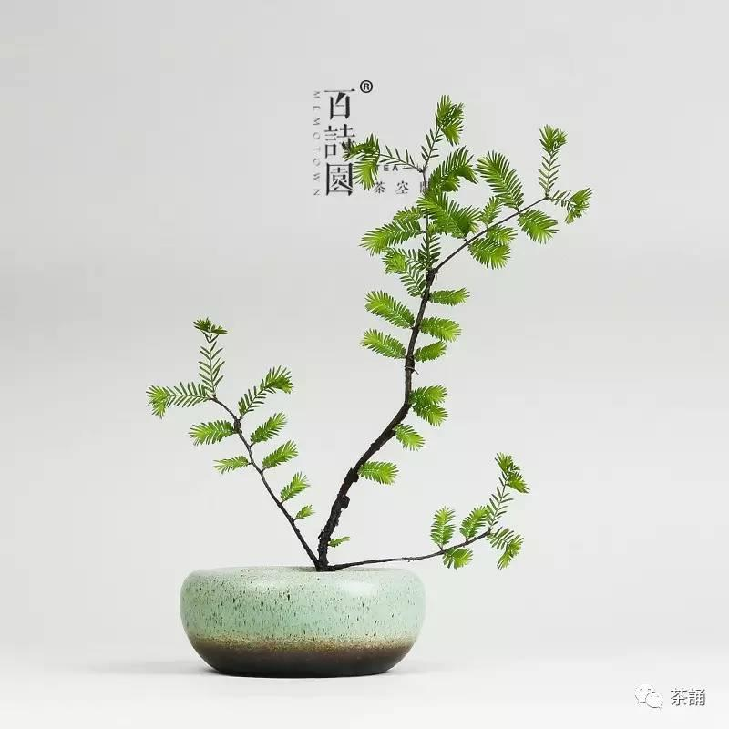 插花不好看?须从心来变:花艺水平进阶必备