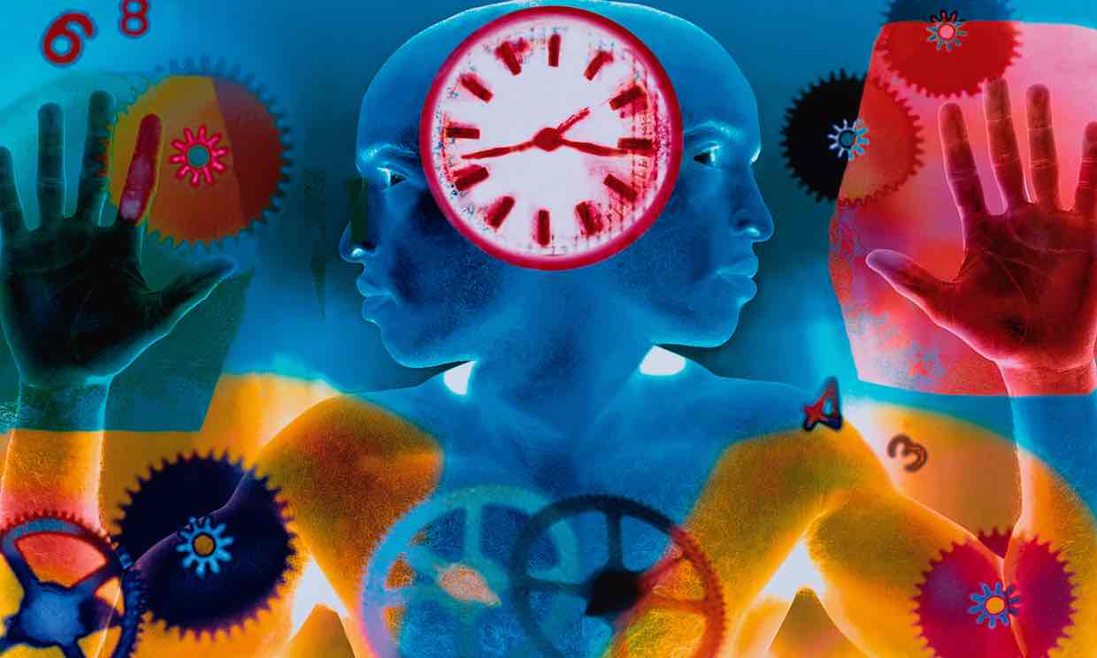 脑科学|揭开生物钟的奥秘,唤醒大脑的深层记忆