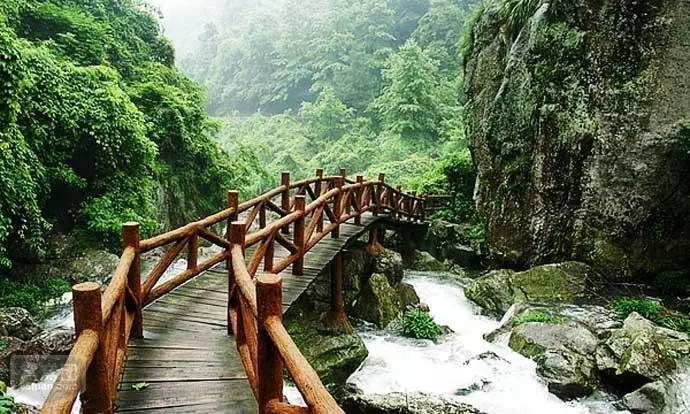 除此之外,5月19日还有 九峰山风景区,艾青故居,大佛寺,古婺窑火,芝堰