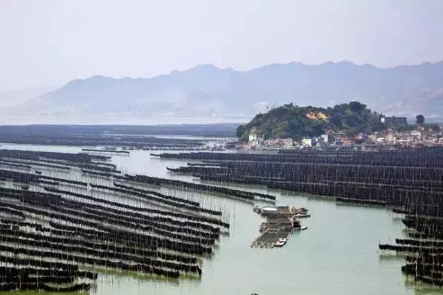 宁德霞浦县gdp_宁德一季度GDP数据出炉,霞浦农业第一,固定资产投资增长第一(3)