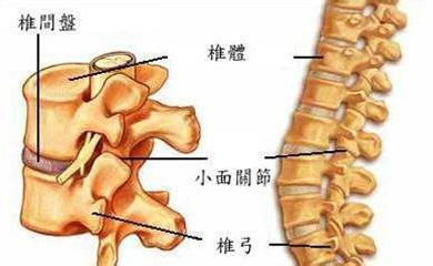 腰椎间盘突出是怎么回事原来是这五大元凶引起