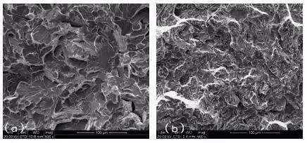 图2(a)解理断口,500×