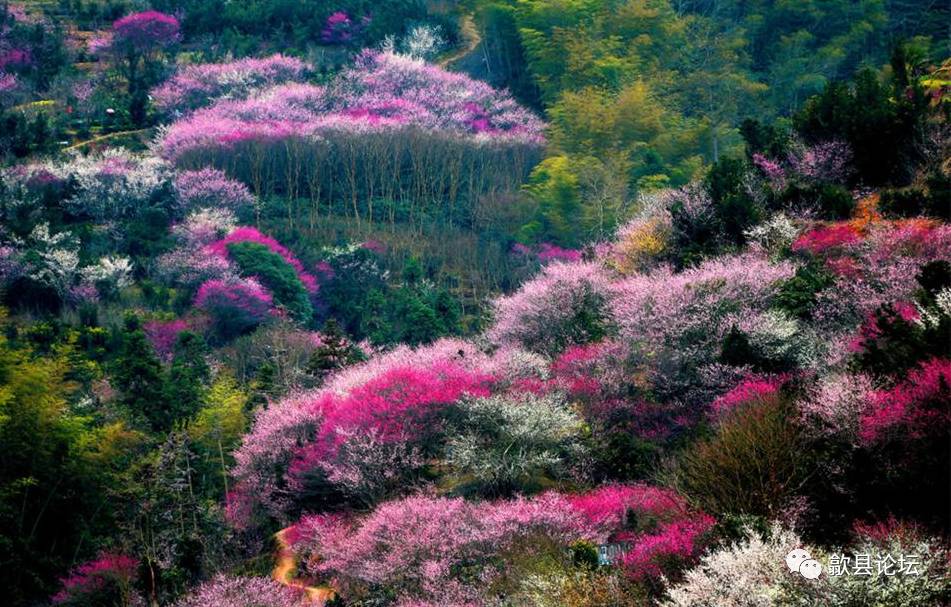 【歙县古村】歙县中水南 ——卖花渔村