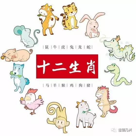 奇了!这些中草药竟与十二生肖有关