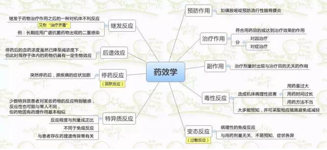 思维导图丨药效学