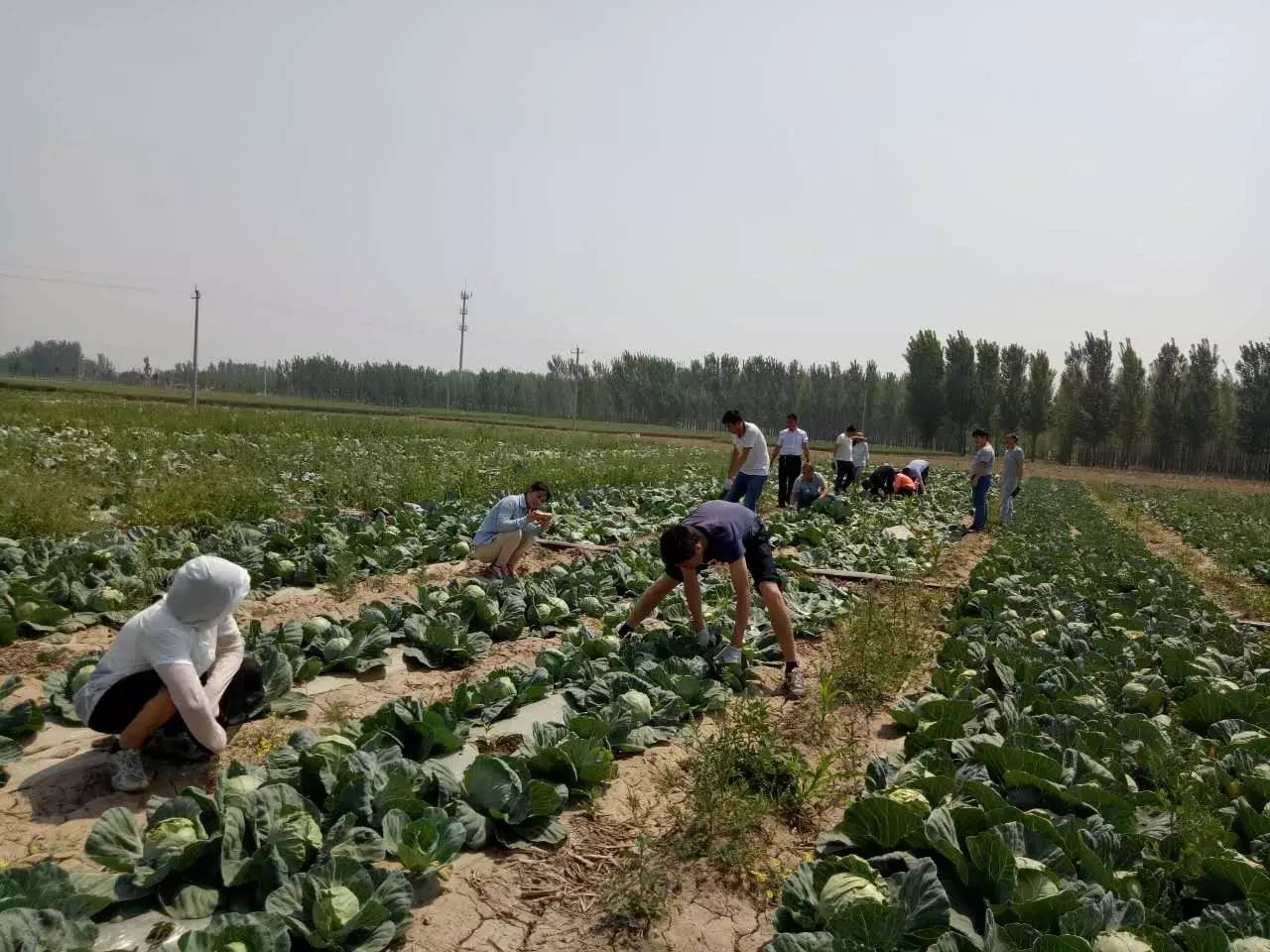 张川人口_馆陶张川