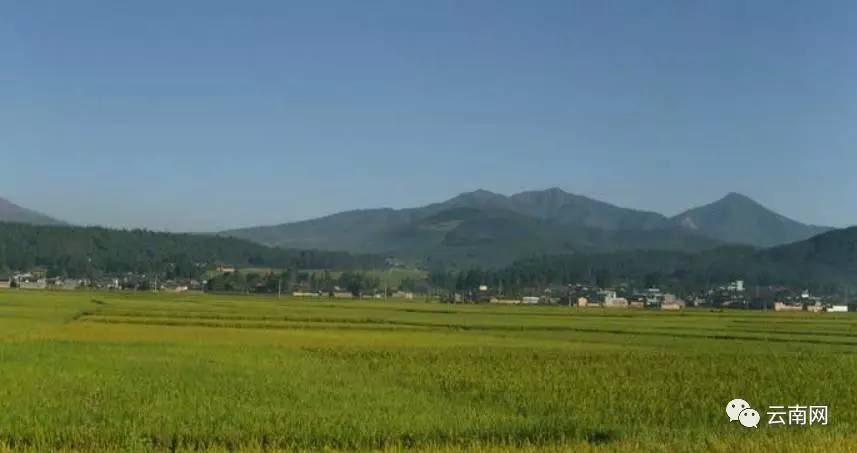 塔甸镇大西村 玉溪市峨山县岔河乡安居村 玉溪市峨山县富良棚乡雨果村