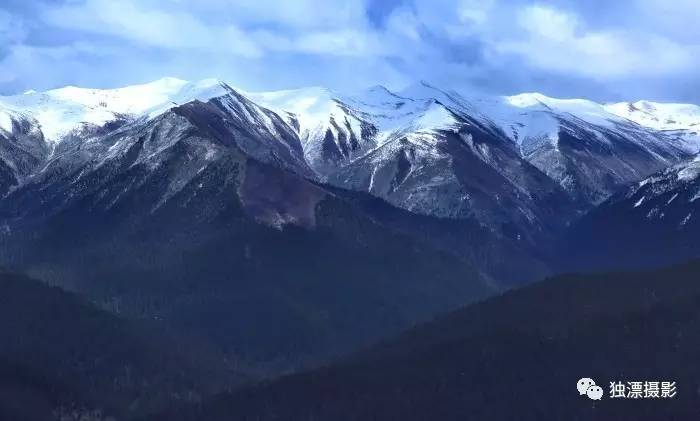 雪山千年恋的简谱_雪山千年恋图